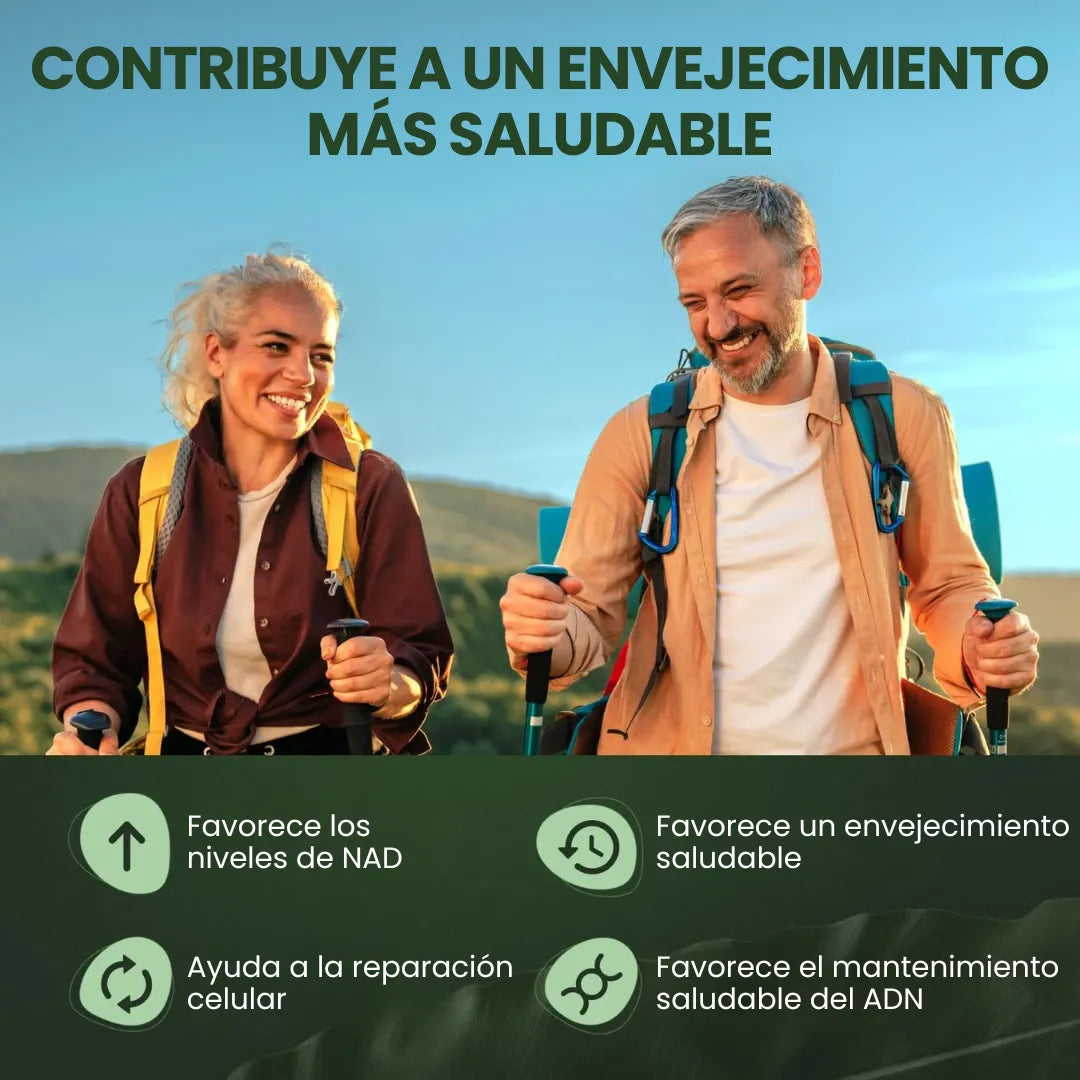 gid://shopify/MediaImage/33089339719850